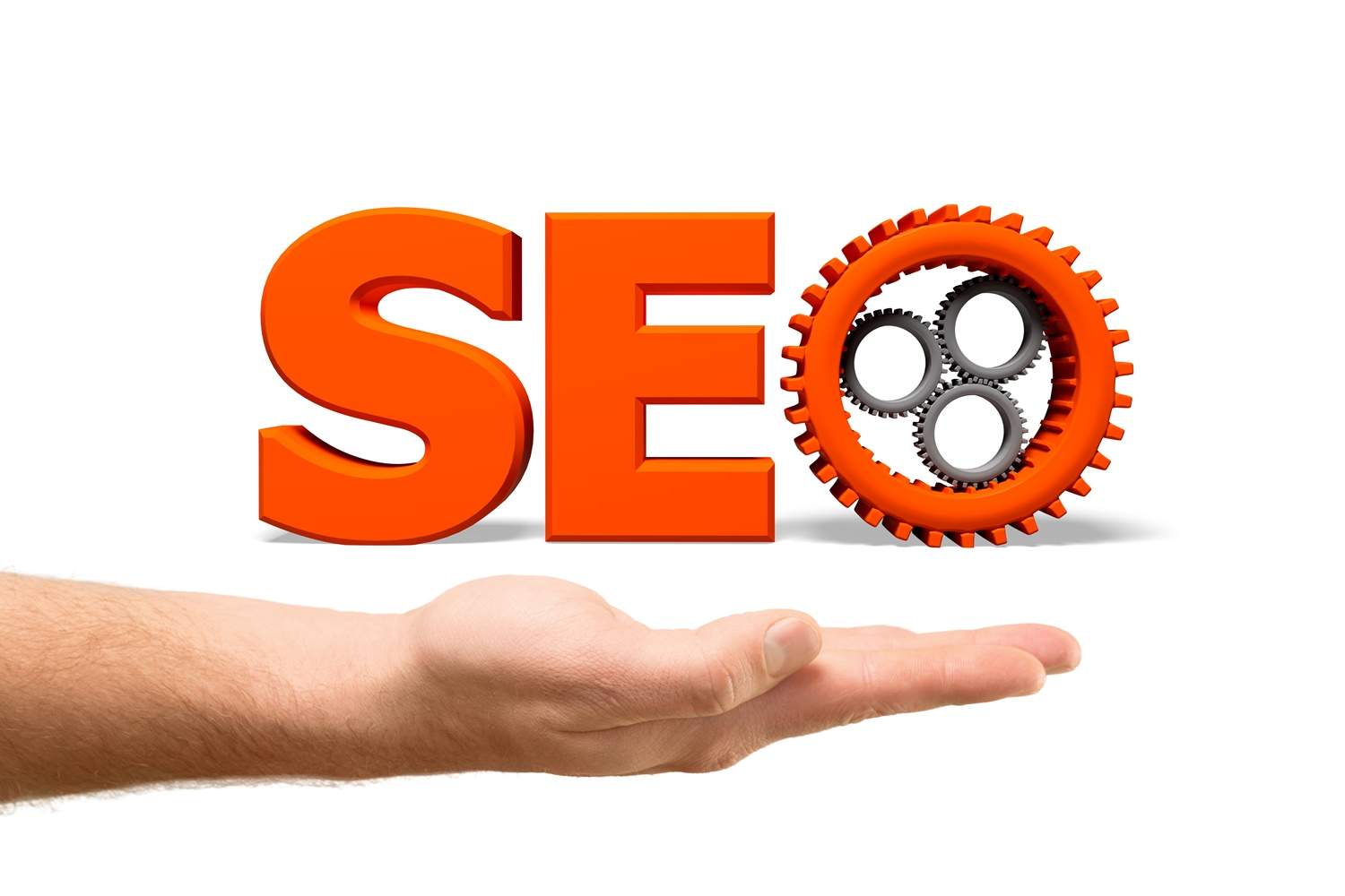 tvorba internetových stránek levně